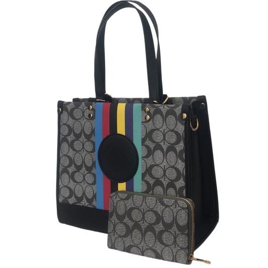Multi Stripes Bag and Wallet